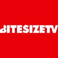 Bite Size Tv Logo